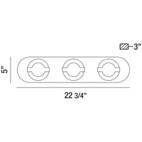 Eurofase Balewood 22-Inch Vanity Light