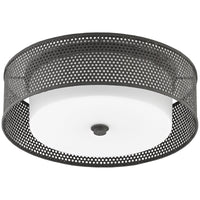 Currey and Company Notte Flush Mount
