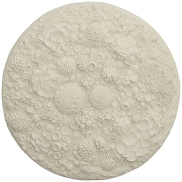 Phillips Collection Coral Reef Wall Art - Round