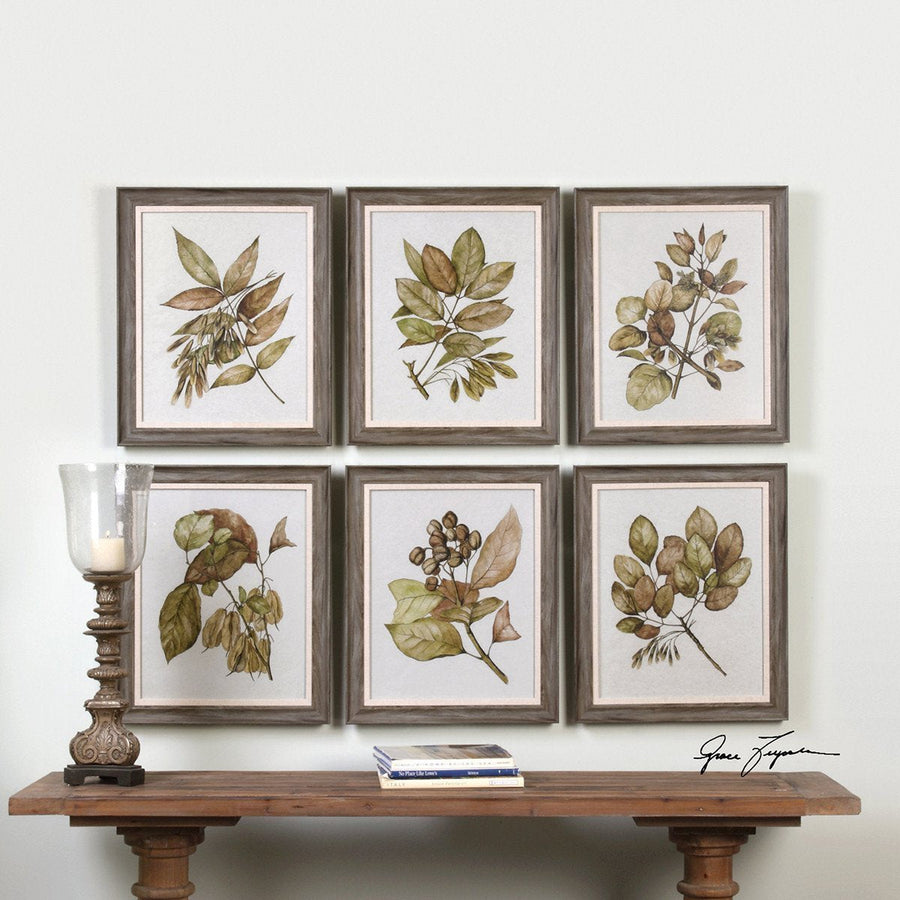 Uttermost Seedlings Framed Prints, 6-Piece Set