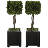 Uttermost Preserved Boxwood Square Topiaries, Set of 2