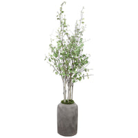 Uttermost Aldis Potted River Birch