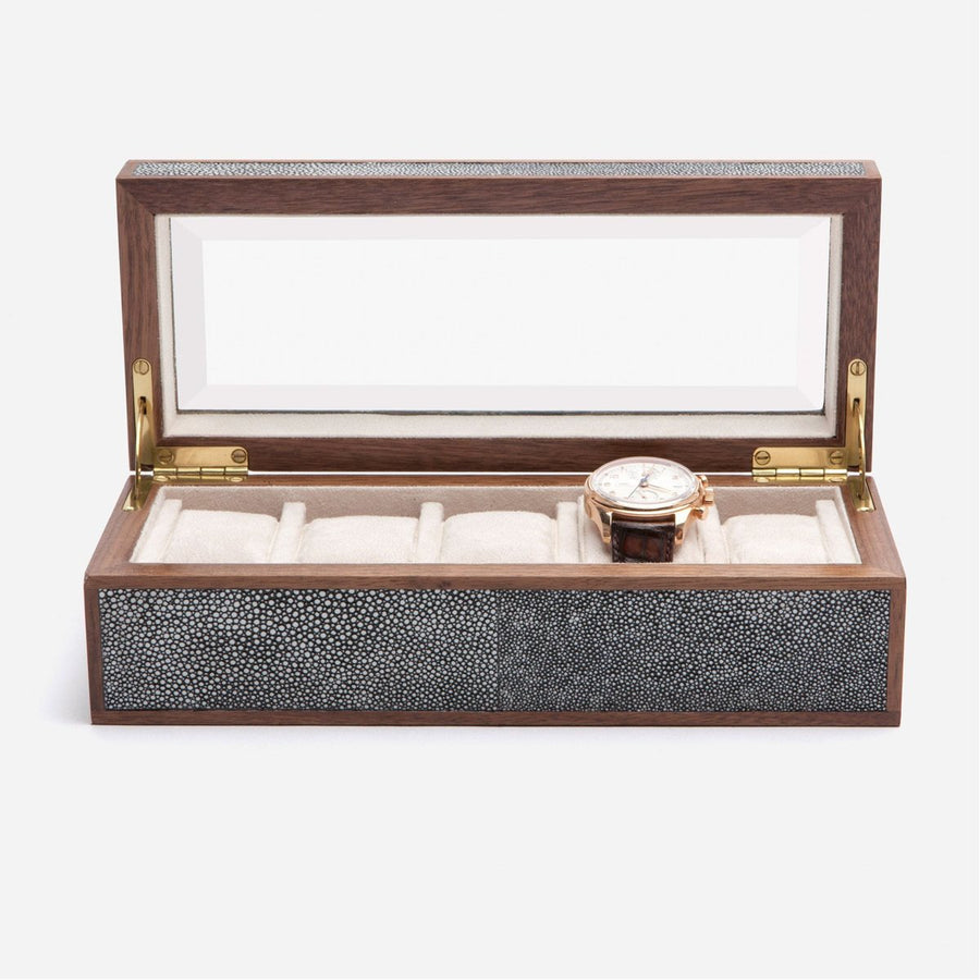 Pigeon and Poodle Elmbridge 5-Watch Box with Beveled Glass