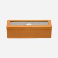 Pigeon and Poodle Leeds 5-Watch Box with Glass