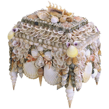 Currey and Company Boardwalk Shell Jewelry Box