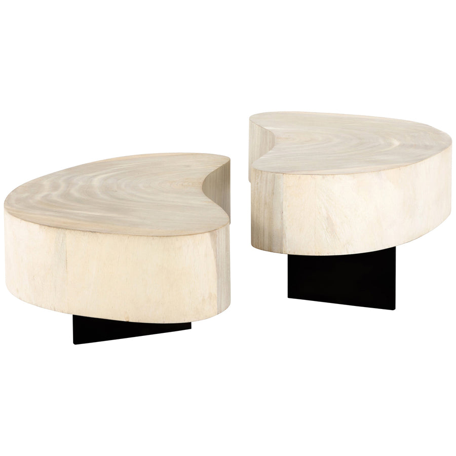 Four Hands Wesson Avett Coffee Table, 2-Piece Set