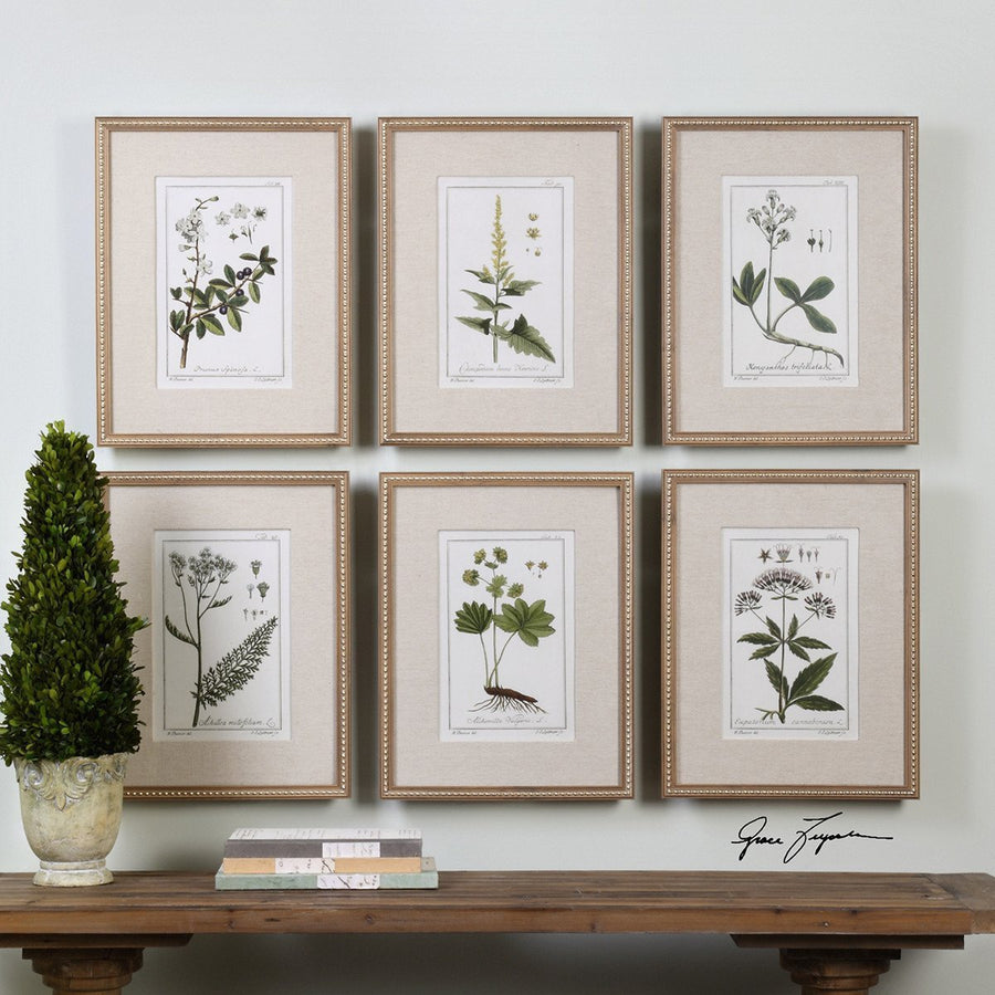 Uttermost Green Floral Botanical Study Prints, 6-Piece Set