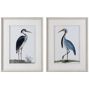 Uttermost Shore Birds Framed Prints, Set of 2