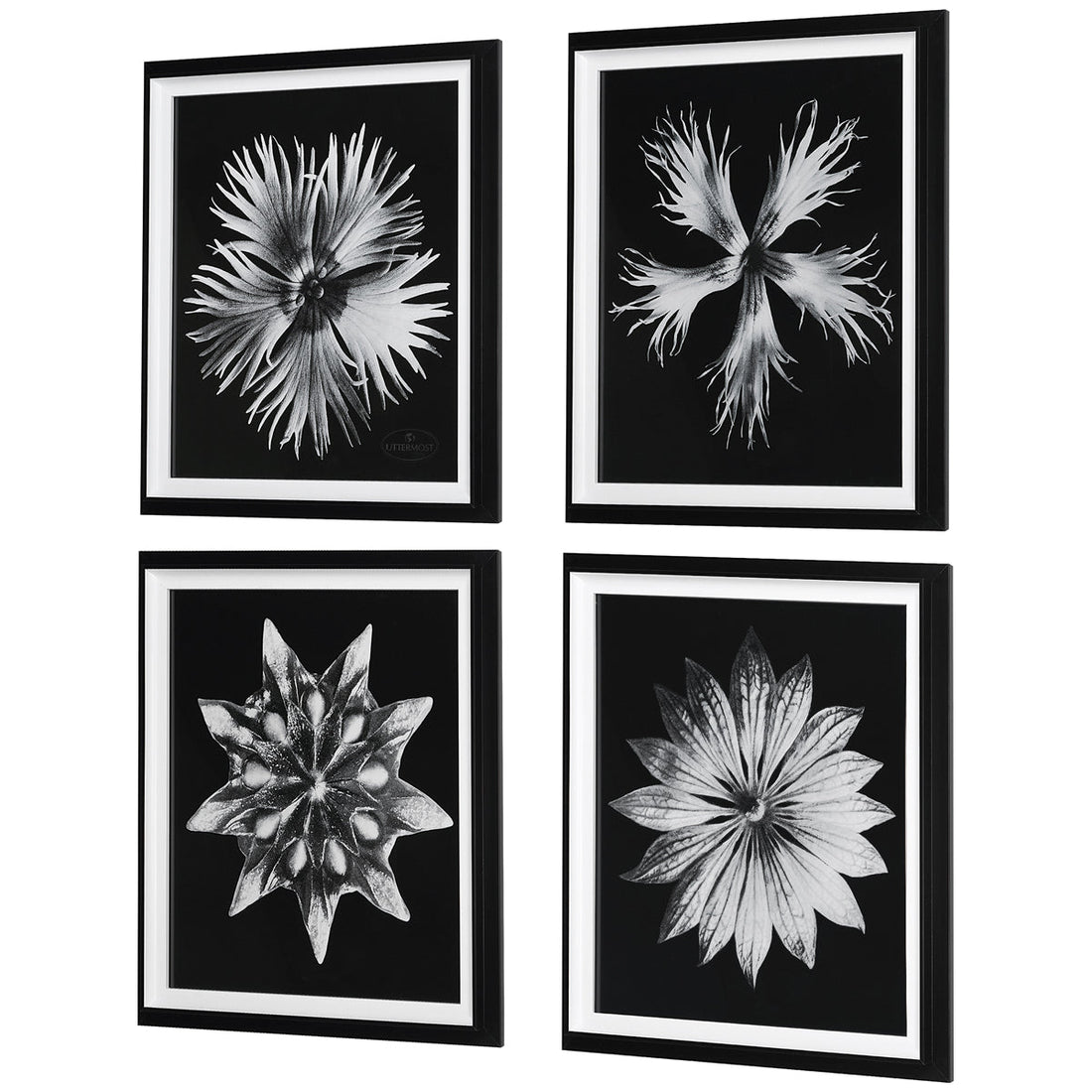 Uttermost Contemporary Floret Framed Prints, Set of 4