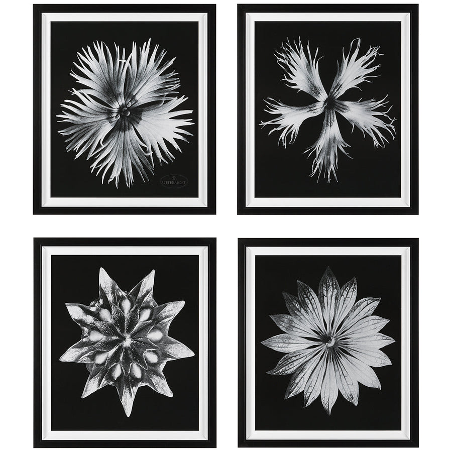 Uttermost Contemporary Floret Framed Prints, Set of 4