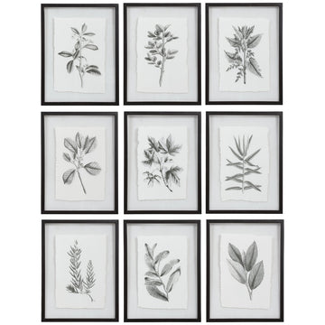 Uttermost Farmhouse Florals Framed Prints, Set of 9