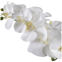 Uttermost Cami White Orchid