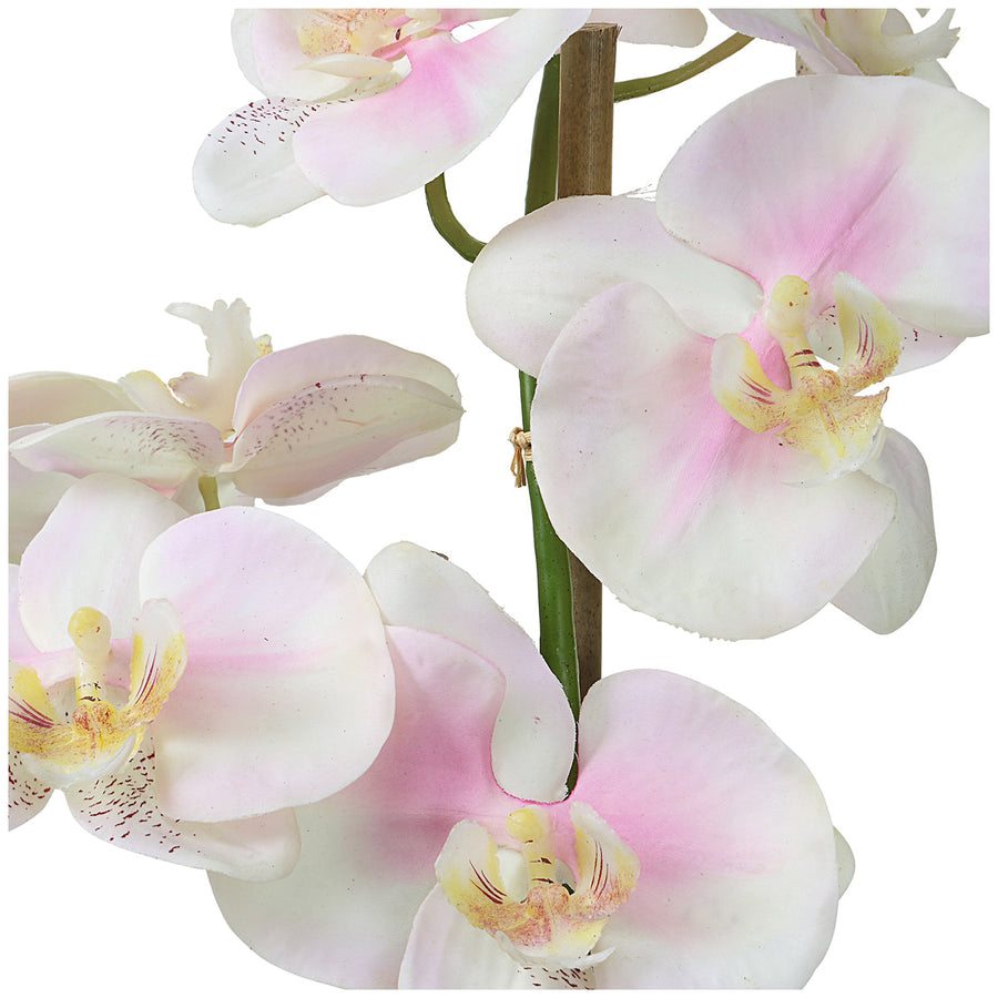 Uttermost Blush Pink and White Orchid