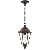 Sea Gull Lighting Bakersville 1-Light Clear Glass Pendant without Bulb
