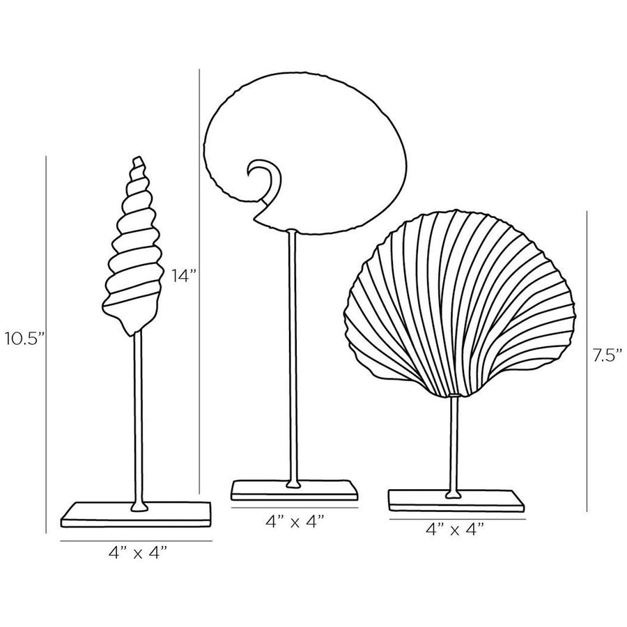 Arteriors Shell Sculptures, 3-Piece Set