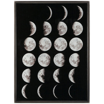 Coup & Co Silver Leaf Art - Phases of The Moon