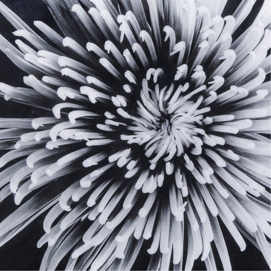 Sonder Living Black & White Flower - Epoxy Art Style A