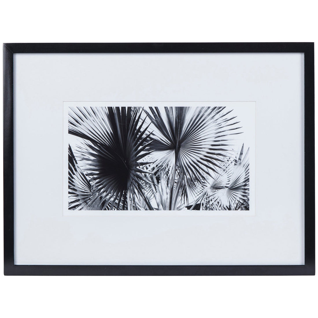 Sonder Living Black & White Palm Leaves Style A