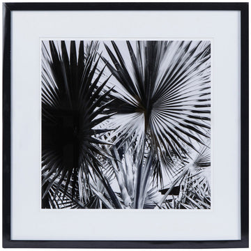 Kelly Hoppen Black & White Palm Leaf Style A