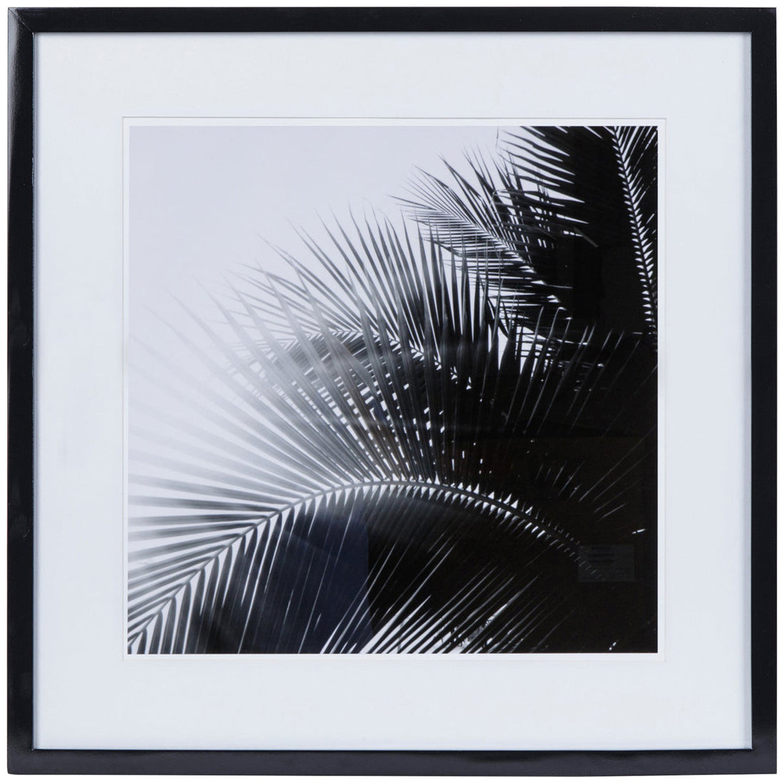 Kelly Hoppen Black & White Palm Leaf Style B