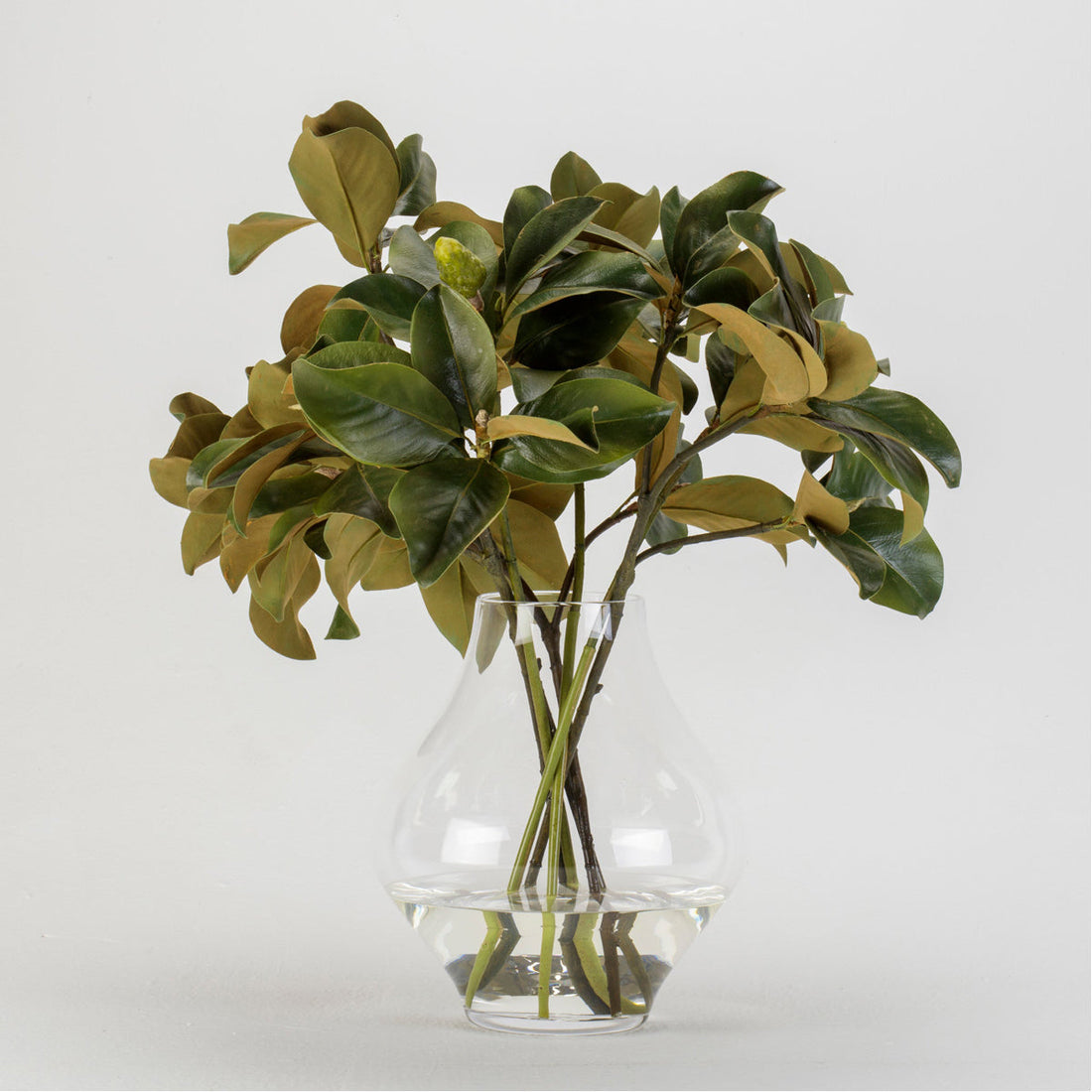 Sonder Living Magnolia Leaves - York Vase