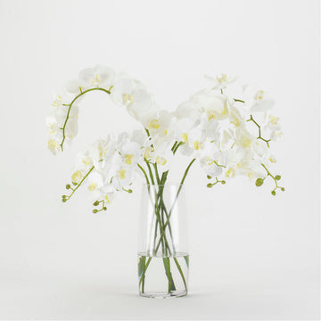 Sonder Living White Orchids - Glass Vase