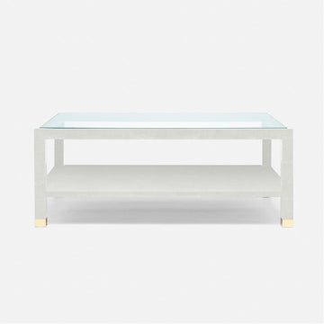 Made Goods Lafeu Coffee Table in Blanc Realistic Faux Shagreen