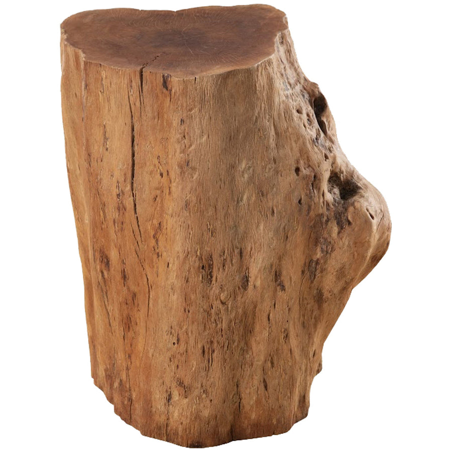 Phillips Collection Longan Wood Stool - Assorted Size and Shapes