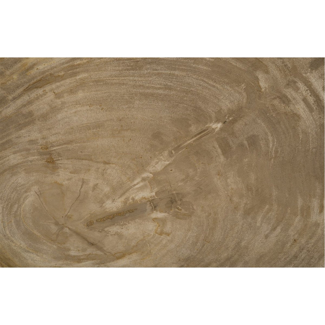 Phillips Collection Petrified Wood Tray