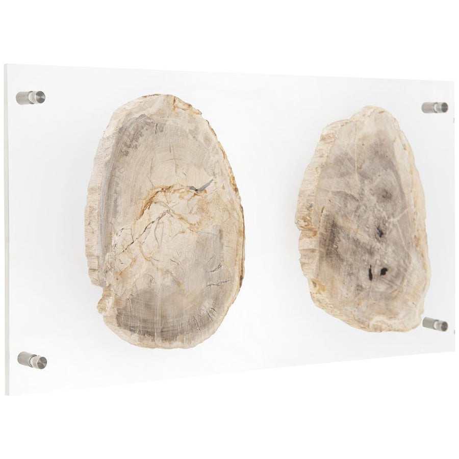 Phillips Collection Floating Petrified Double Slice Wall Art