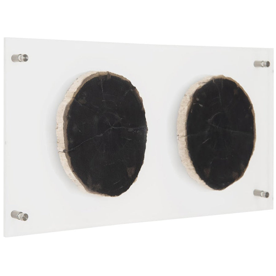 Phillips Collection Floating Petrified Double Slice Wall Art