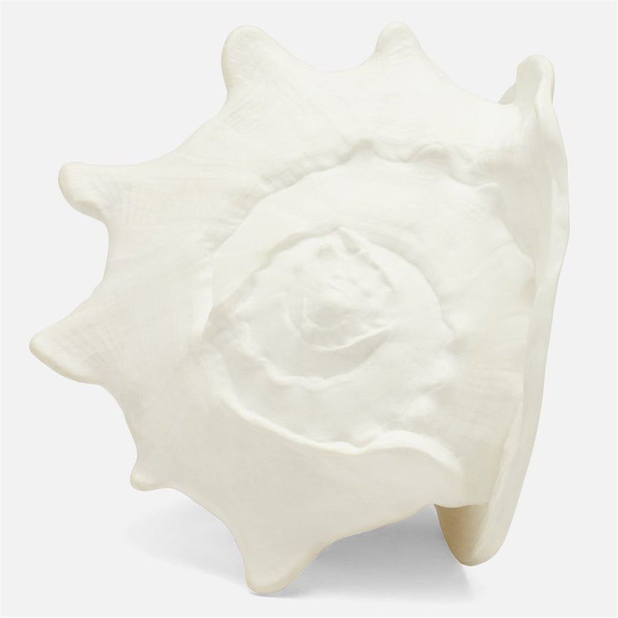 Made Goods Gian Conch Shell Sculptures, Set of 2