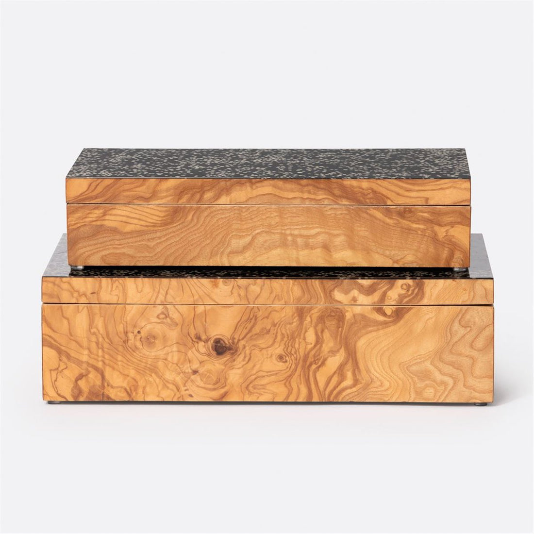 Made Goods Presley Veneer Box in Black Resin, 2-Piece Set