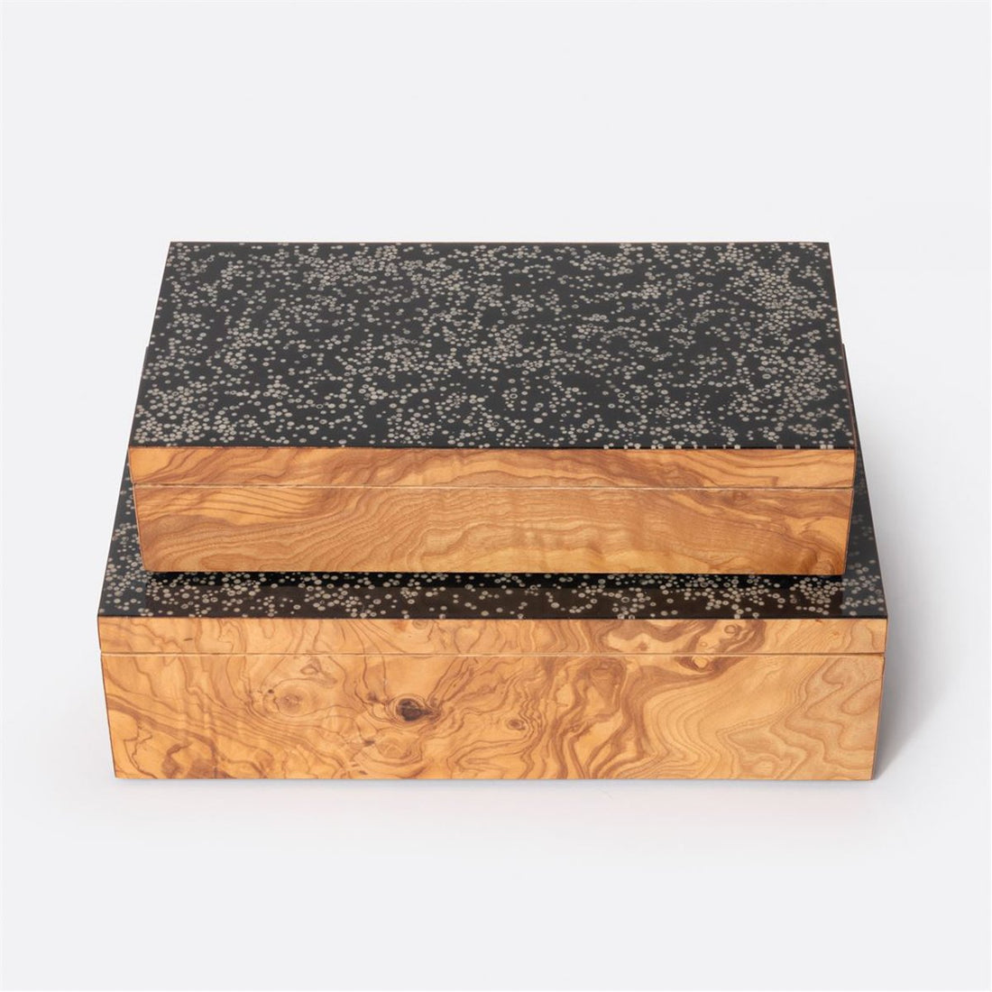 Made Goods Presley Veneer Box in Black Resin, 2-Piece Set