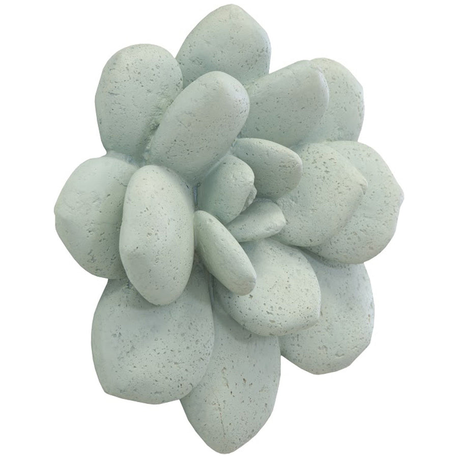 Phillips Collection Laui Succulent Outdoor Wall Art
