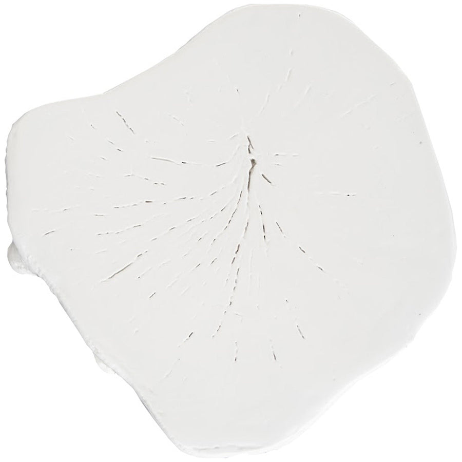 Phillips Collection Log Small White Stool