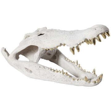 Phillips Collection Crocodile Skull Sculpture
