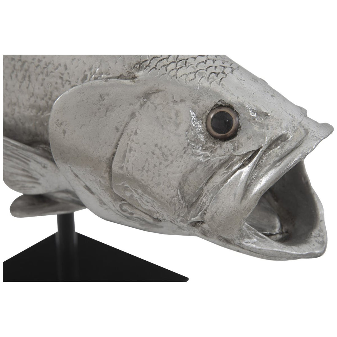 Phillips Collection Large Mouth Bass Fish, with Stand