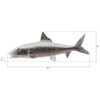 Phillips Collection Bonefish Wall Sculpture