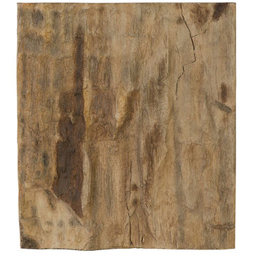 Phillips Collection Square Cast Petrified Wood Wall Tile
