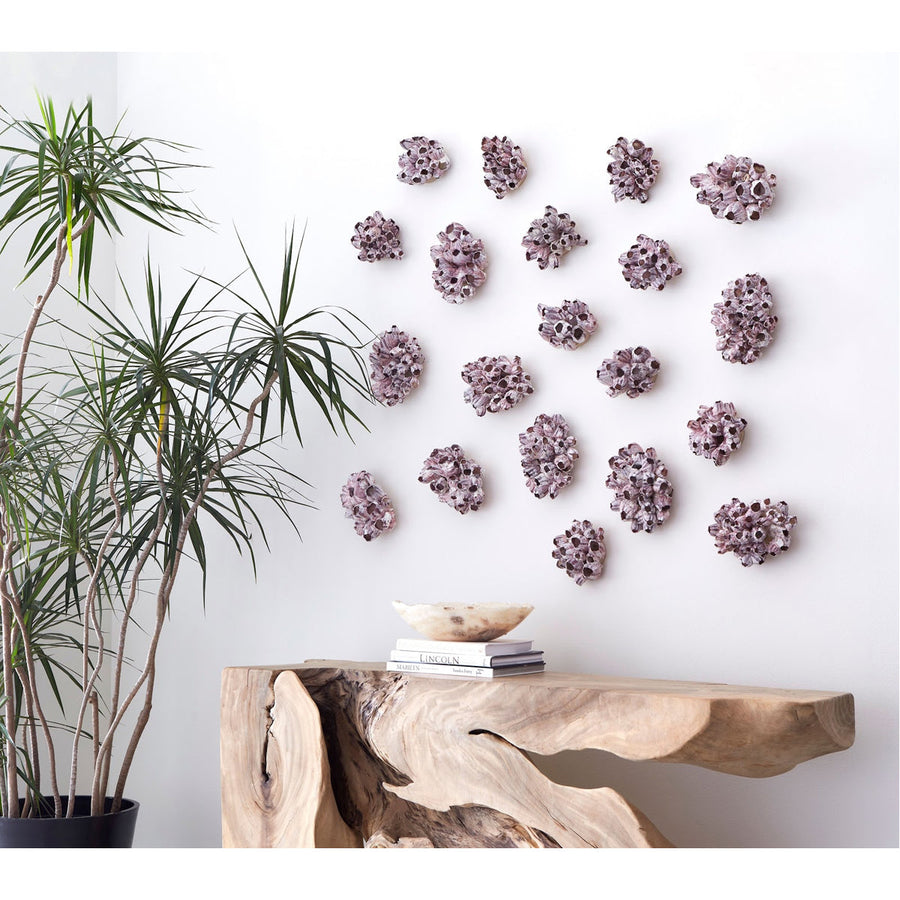 Phillips Collection Barnacle Cluster Wall Art