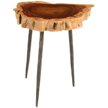Phillips Collection Makha Burled Wood Side Table