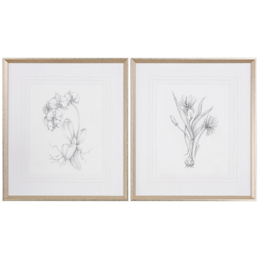 Uttermost Botanical Sketches Framed Prints, 2-Piece Set